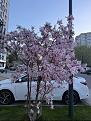 Нажмите на изображение для увеличения.

Название:	IMG_8708.jpg
Просмотров:	36
Размер:	510.5 Кб
ID:	734974