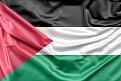 Нажмите на изображение для увеличения.

Название:	flag-of-palestine_1401-279.jpg
Просмотров:	13
Размер:	39.0 Кб
ID:	660723